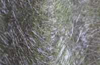 Sutton On Sea fibreglass roof work